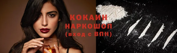 прущие грибы Алексин