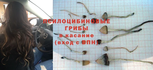 тгк Алзамай