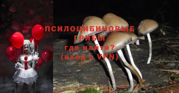 прущие грибы Алексин
