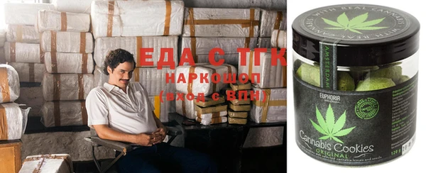 тгк Алзамай