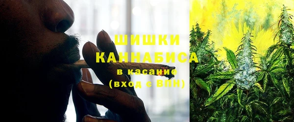 прущие грибы Алексин