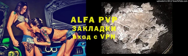 прущие грибы Алексин